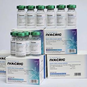 IVACRIG (Huyết thanh kháng dại tinh chế) (Phòng bệnh: phòng bệnh dại) 893410324025 (SĐK cũ: QLSP-0778-14)